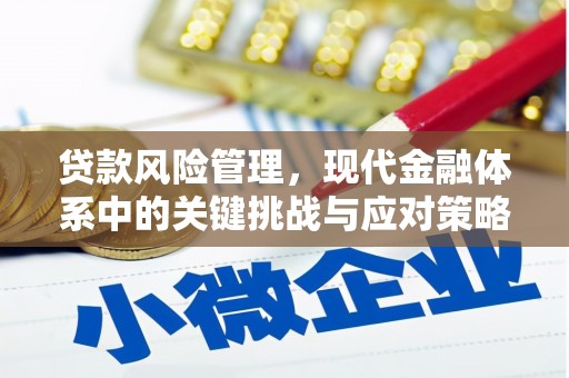 葵青贷款风险管理，现代金融体系中的关键挑战与应对策略