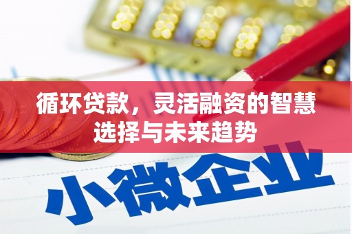 葵青循环贷款，灵活融资的智慧选择与未来趋势