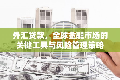 葵青外汇贷款，全球金融市场的关键工具与风险管理策略