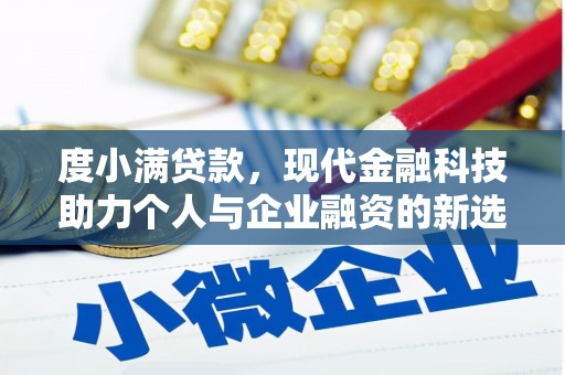 葵青度小满贷款，现代金融科技助力个人与企业融资的新选择