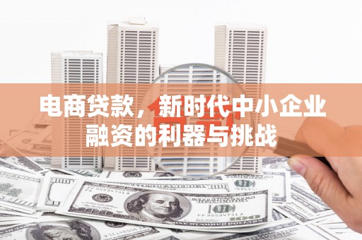 葵青电商贷款，新时代中小企业融资的利器与挑战