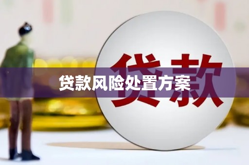 葵青贷款风险处置方案