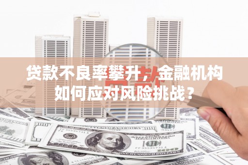 葵青贷款不良率攀升，金融机构如何应对风险挑战？