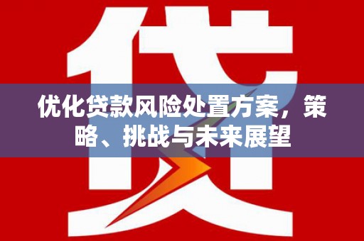 葵青优化贷款风险处置方案，策略、挑战与未来展望