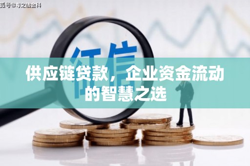 葵青供应链贷款，企业资金流动的智慧之选
