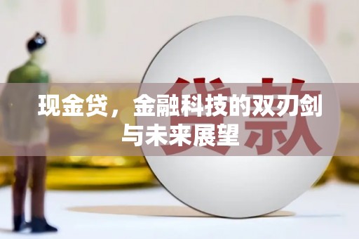 葵青现金贷，金融科技的双刃剑与未来展望