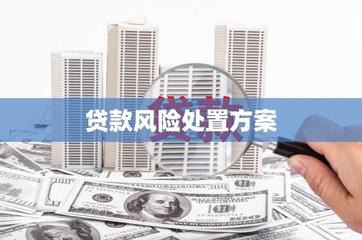 葵青贷款风险处置方案
