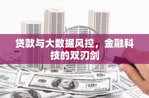葵青贷款与大数据风控，金融科技的双刃剑