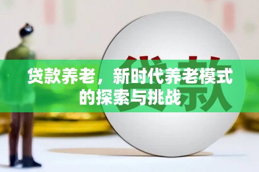 葵青贷款养老，新时代养老模式的探索与挑战