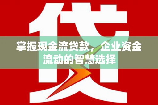 葵青掌握现金流贷款，企业资金流动的智慧选择