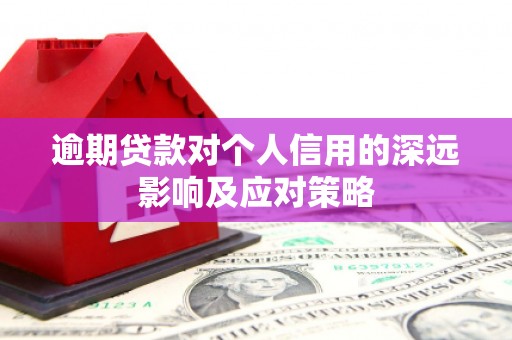 葵青逾期贷款对个人信用的深远影响及应对策略