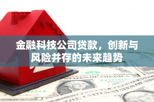 葵青金融科技公司贷款，创新与风险并存的未来趋势