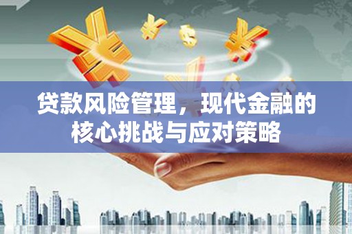 葵青贷款风险管理，现代金融的核心挑战与应对策略
