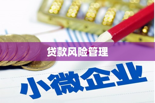葵青贷款风险管理