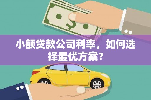 葵青小额贷款公司利率，如何选择最优方案？