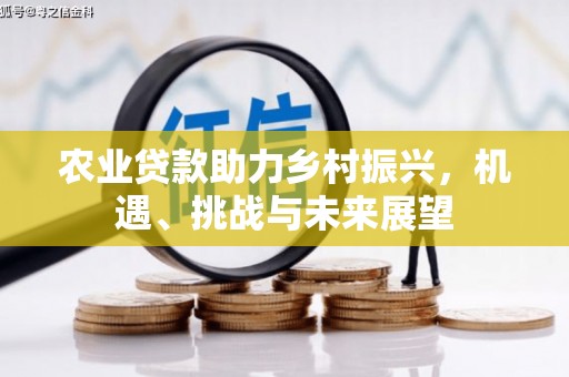 葵青农业贷款助力乡村振兴，机遇、挑战与未来展望