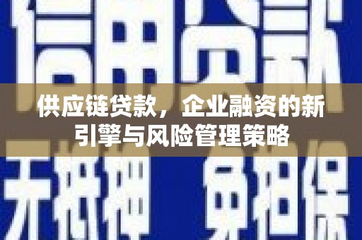 葵青供应链贷款，企业融资的新引擎与风险管理策略