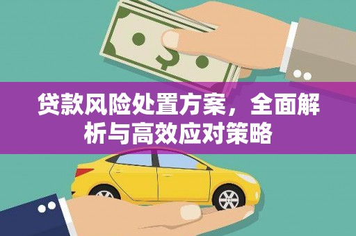 葵青贷款风险处置方案，全面解析与高效应对策略