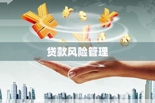 葵青贷款风险管理