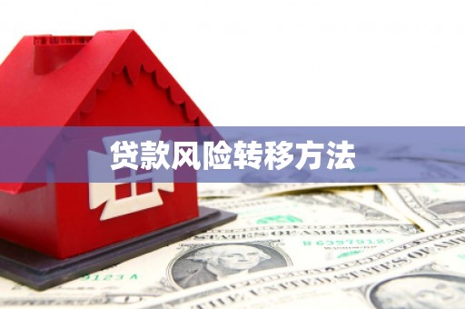 葵青贷款风险转移方法