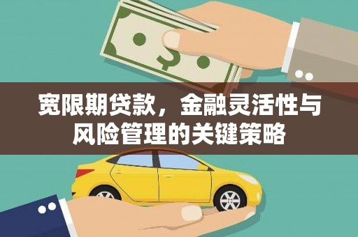 葵青宽限期贷款，金融灵活性与风险管理的关键策略