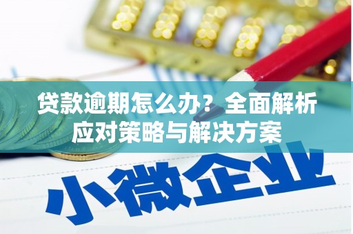 葵青贷款逾期怎么办？全面解析应对策略与解决方案