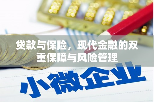 葵青贷款与保险，现代金融的双重保障与风险管理