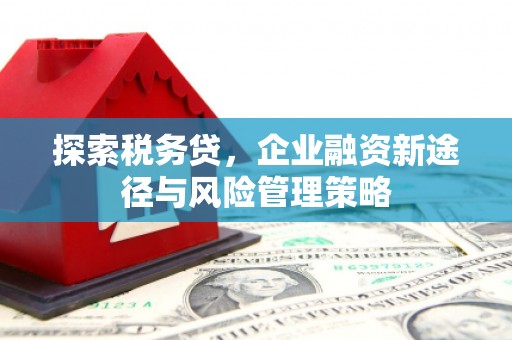 葵青探索税务贷，企业融资新途径与风险管理策略