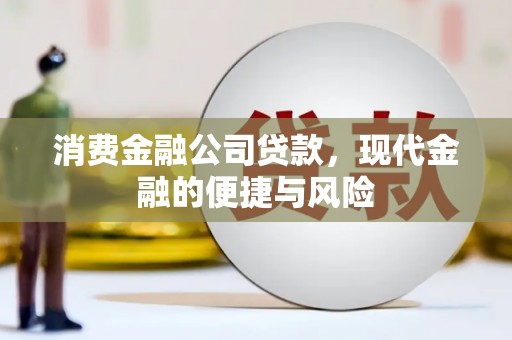 葵青消费金融公司贷款，现代金融的便捷与风险