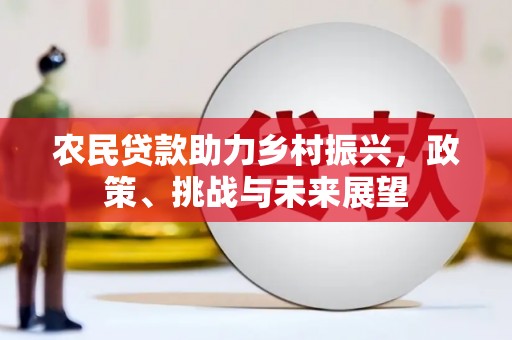 葵青农民贷款助力乡村振兴，政策、挑战与未来展望
