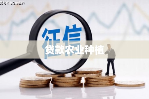 葵青贷款农业种植