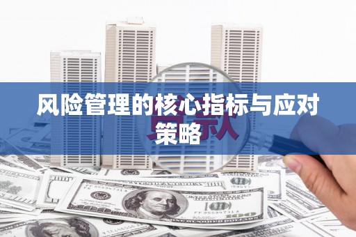 葵青风险管理的核心指标与应对策略