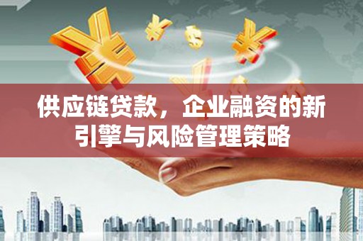 葵青供应链贷款，企业融资的新引擎与风险管理策略