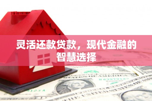 葵青灵活还款贷款，现代金融的智慧选择