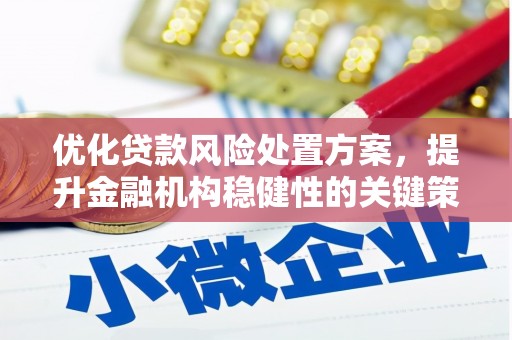 葵青优化贷款风险处置方案，提升金融机构稳健性的关键策略