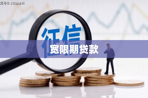 葵青宽限期贷款