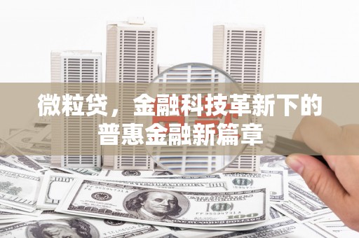 葵青微粒贷，金融科技革新下的普惠金融新篇章