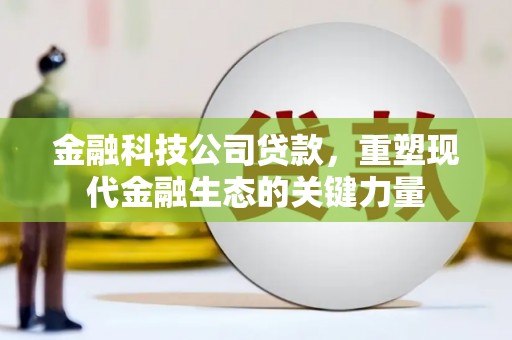 葵青金融科技公司贷款，重塑现代金融生态的关键力量