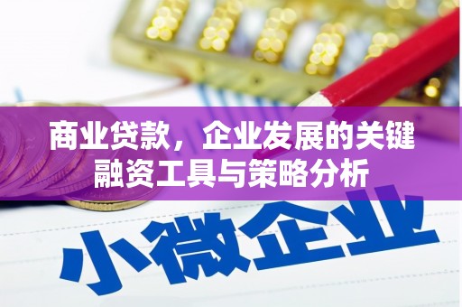 葵青商业贷款，企业发展的关键融资工具与策略分析