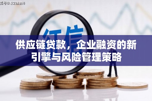葵青供应链贷款，企业融资的新引擎与风险管理策略