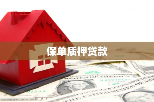 葵青保单质押贷款