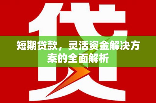 葵青短期贷款，灵活资金解决方案的全面解析