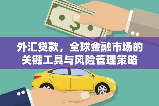葵青外汇贷款，全球金融市场的关键工具与风险管理策略