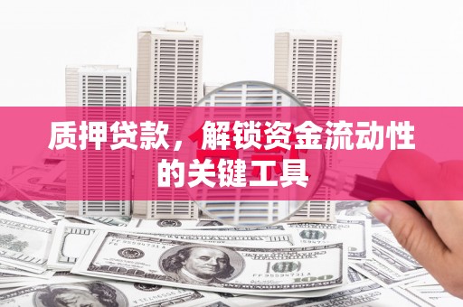 葵青质押贷款，解锁资金流动性的关键工具