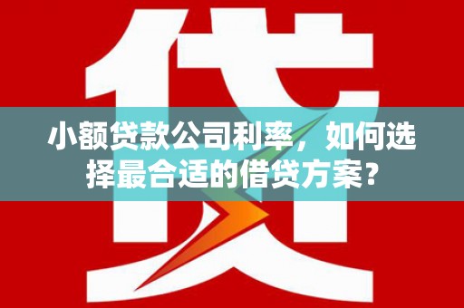 葵青小额贷款公司利率，如何选择最合适的借贷方案？