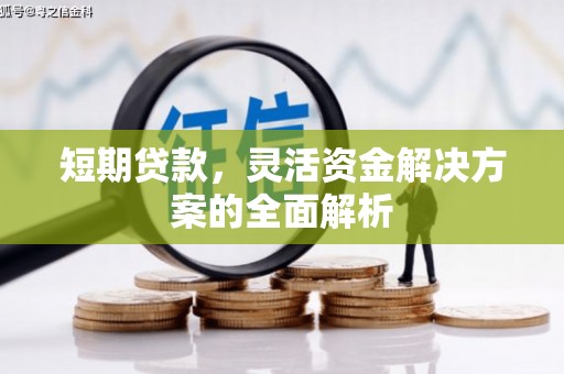 葵青短期贷款，灵活资金解决方案的全面解析