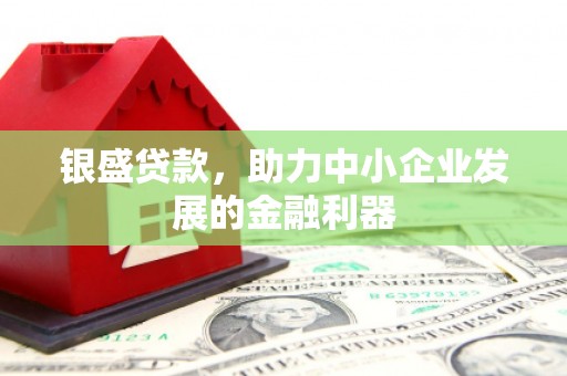 葵青银盛贷款，助力中小企业发展的金融利器