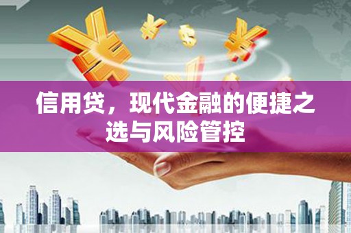 葵青信用贷，现代金融的便捷之选与风险管控