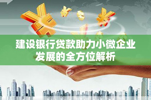 葵青建设银行贷款助力小微企业发展的全方位解析