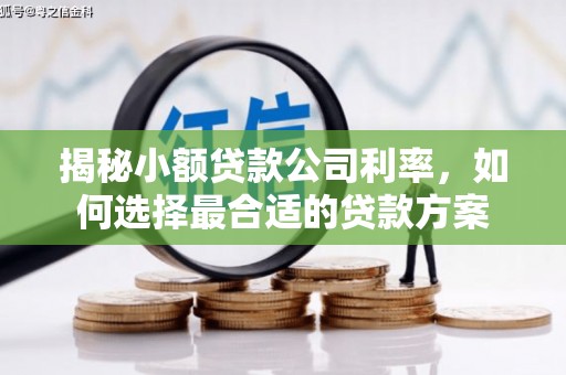 葵青揭秘小额贷款公司利率，如何选择最合适的贷款方案